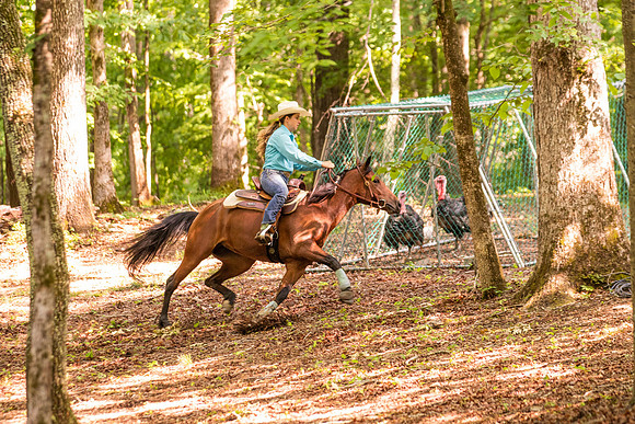 HodgesRace-5294