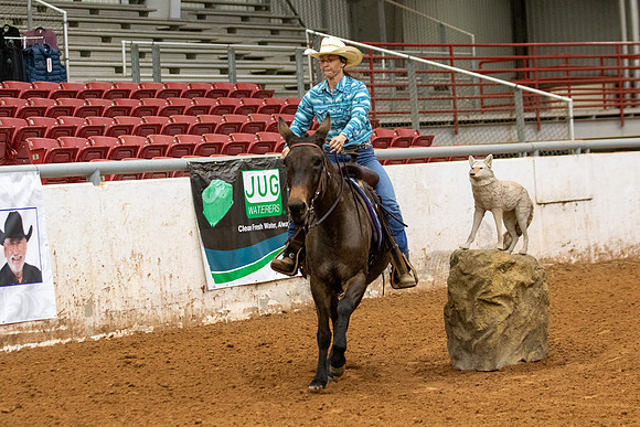 Mule&FuturityR2-31
