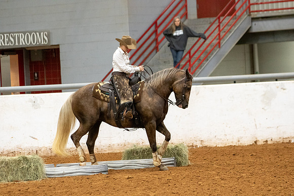 Mule&FuturityR2-321