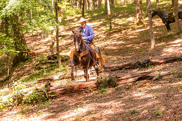 HodgesRace-5468