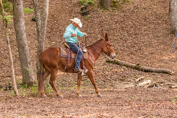 HodgesRace-7484