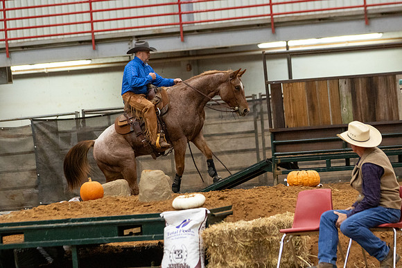 Mule&FuturityR2-440