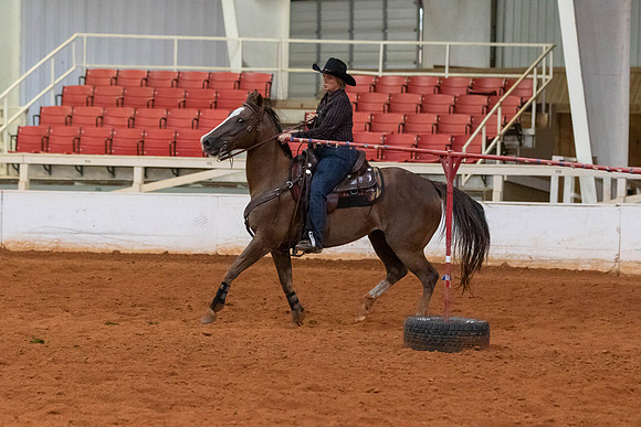 Lesa-1342