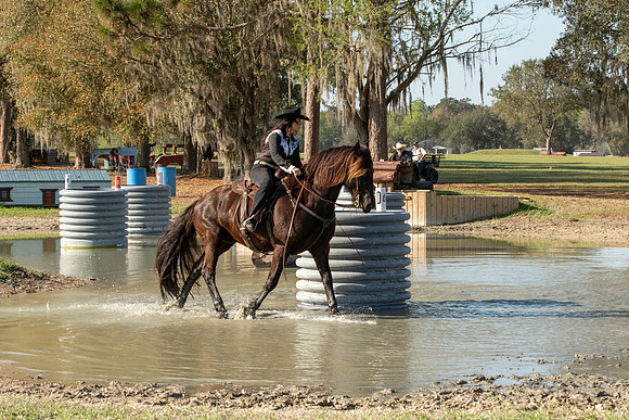EXCAOcala-7572
