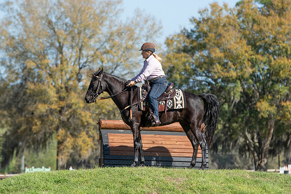 Terri-2570