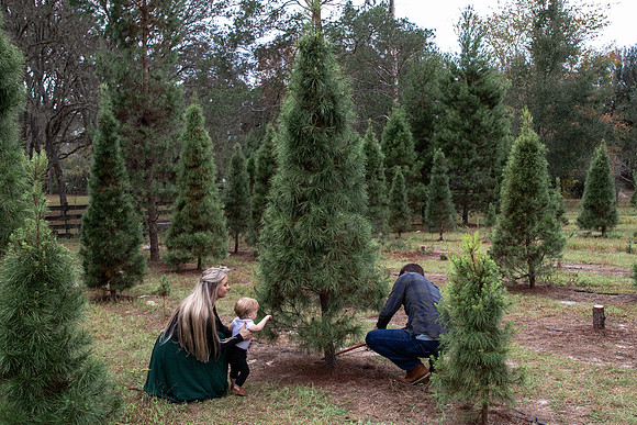 ParkerChristmas-54