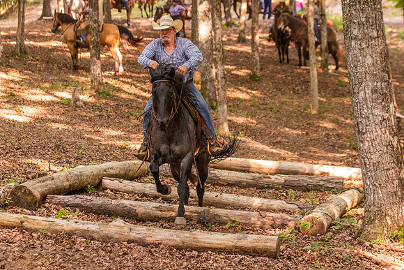 HodgesRace-7095