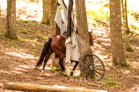 HodgesRace-5658