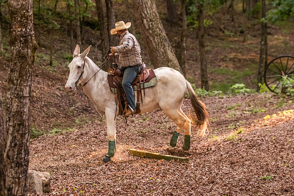 HodgesRace-7644