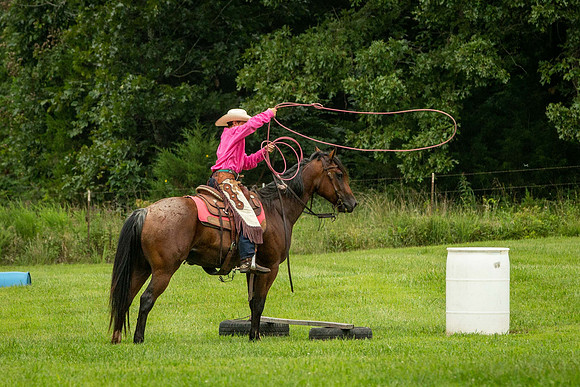 IMG_4739