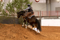 Mustang-1283