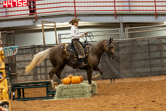 Mule&FuturityR2-325