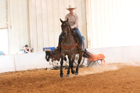 Layton, Cheyenne