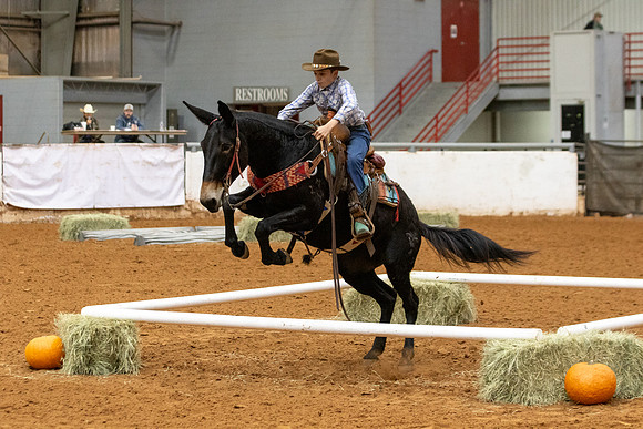 Mule&FuturityR2-61