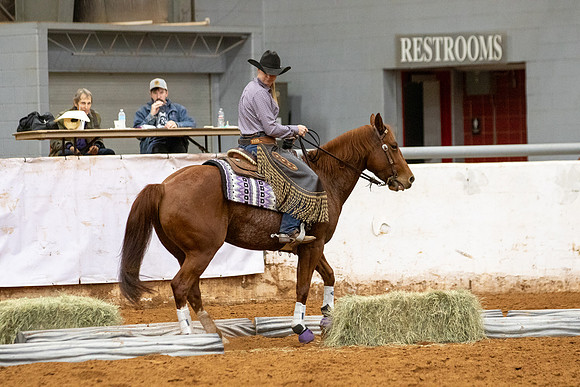 Mule&FuturityR2-501