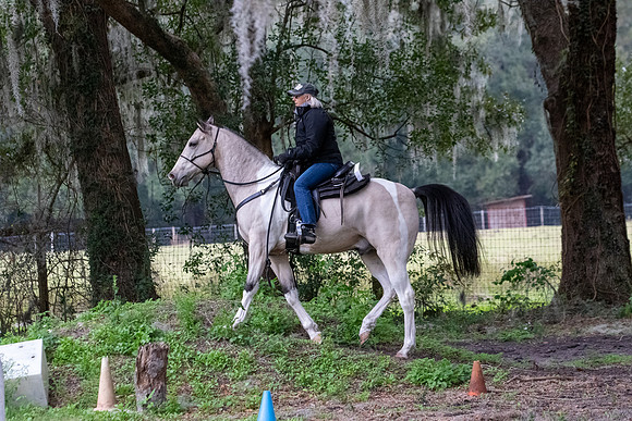 CameronClinicObstacles-16