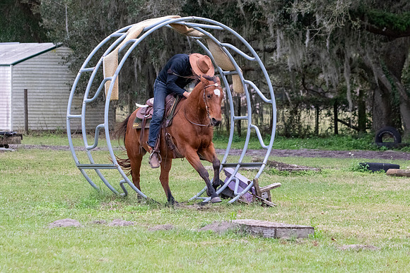 CameronClinicObstacles-61