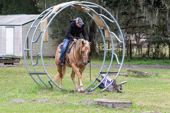 CameronClinicObstacles-125