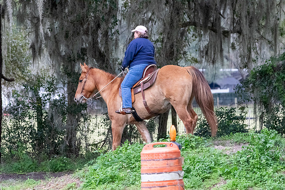 CameronClinicObstacles-142