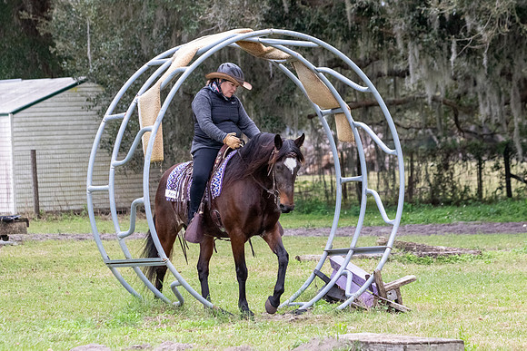 CameronClinicObstacles-175