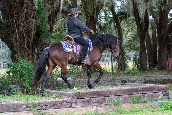 CameronClinicObstacles-180