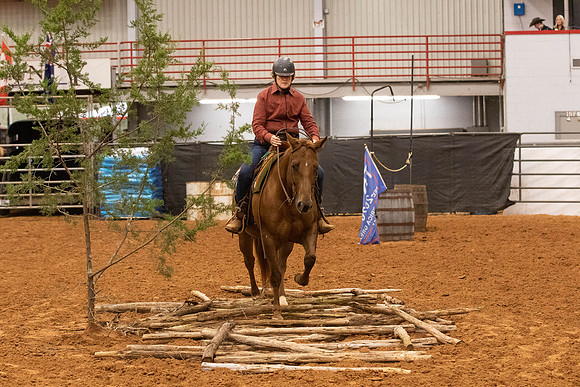 NoviceR1-6238
