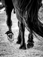 IMG_2809