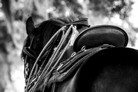 IMG_2678