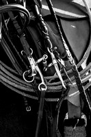 IMG_2663