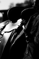 IMG_2672