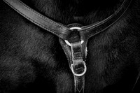 IMG_2706