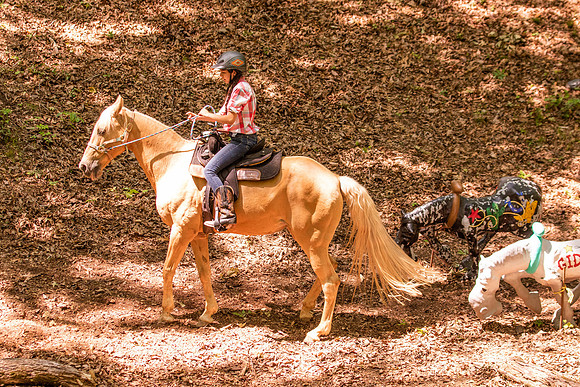 HodgesRace-5781