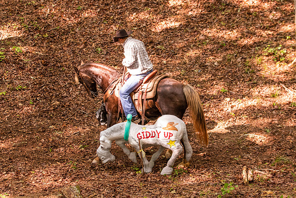 HodgesRace-5144