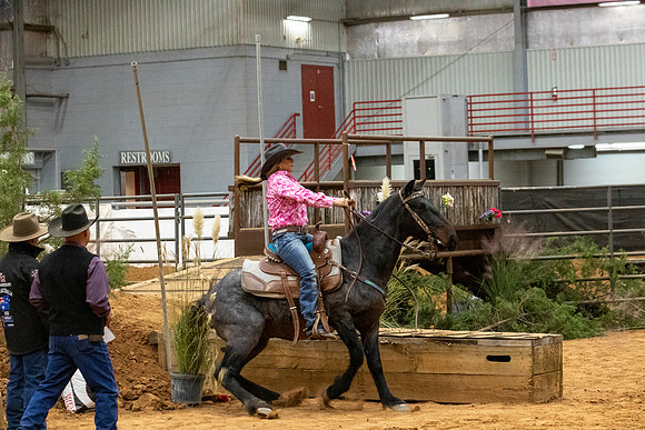 MustangFinals-5324