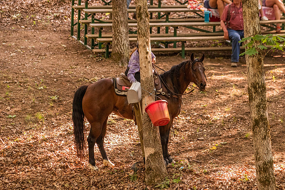 HodgesRace-7019