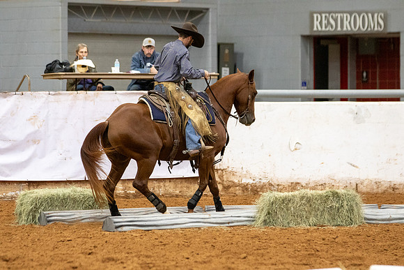 Mule&FuturityR2-396