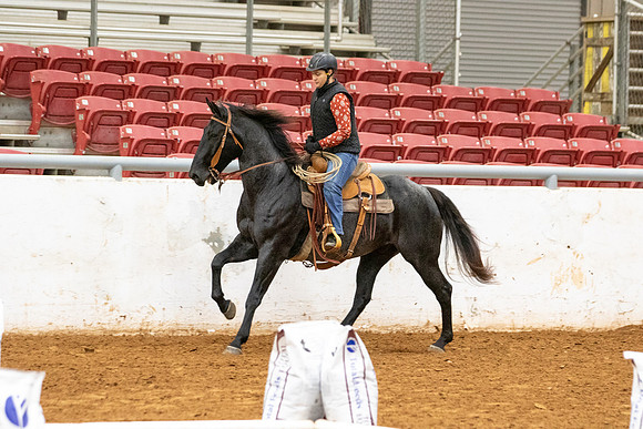 Int&FuturityR1-230