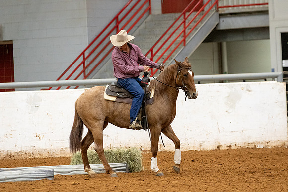 Mule&FuturityR2-381