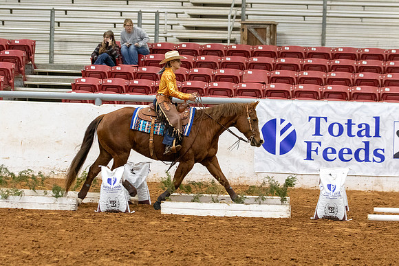 NoviceR2-205