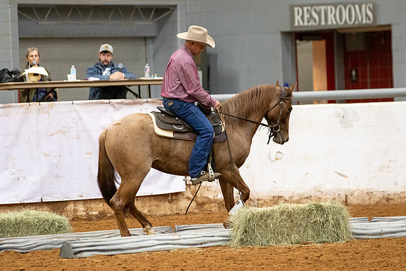 Mule&FuturityR2-383