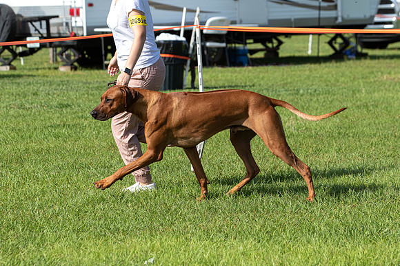 IABCAShow-3251