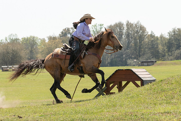 EXCAOcala-8300