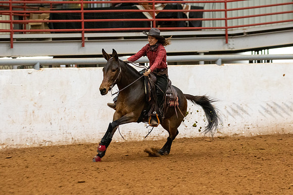 Mule&FuturityR2-110