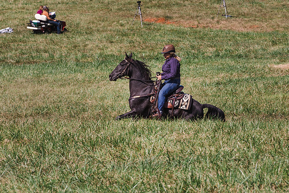Terri-1763