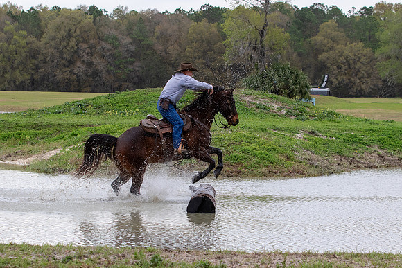 FLHorseParkRace-110