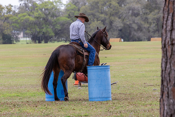 FLHorseParkRace-300