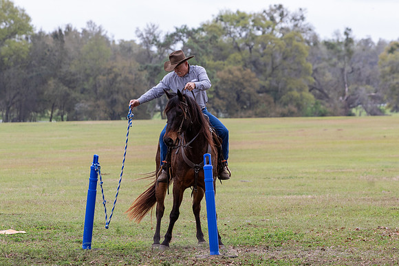 FLHorseParkRace-301
