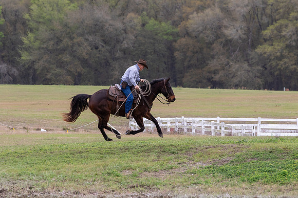 FLHorseParkRace-296