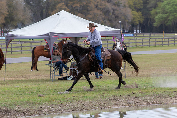 FLHorseParkRace-305