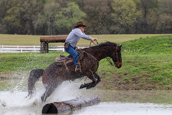 FLHorseParkRace-303